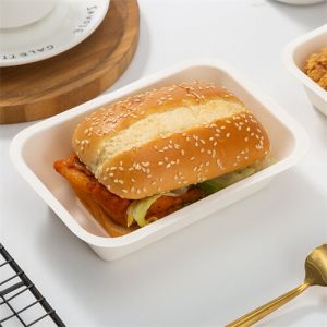 pulpa 3 compartimentos cajas de alimentos salsa biodegradable biodegrado envase de ensalada