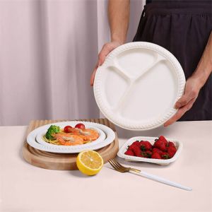 Plato de comida rápida de plato de porcelana desechable de 10 pulgadas cuadradas