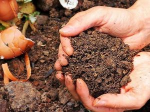 Comment démarrer un restaurant avec une boîte alimentaire compostable