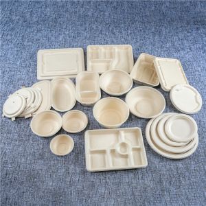 What are the types of biodegradable tableware?</a>