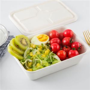 envases Contenedores de envasado Contenedor de alimentos biodegradable 3 box lunch set