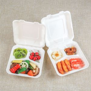 cajas para llevar productos ecológicos cañas de azúcar compostables conchas de concha de alimentos recipientes ecológicos para llevar de caña de azúca