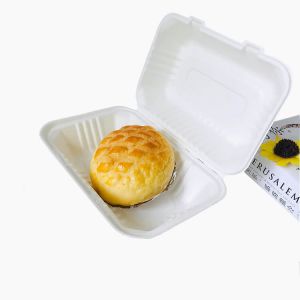 cajas para llevar para alimentos Bandejas de alimentos biodegradables Fabricante de envases de alimentos biodegradables