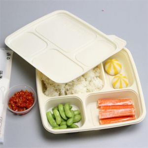 Bandeja de compartimento 32 onzas Contenedores de alimentos cocinados Contenedores de alimentos con bisagras plásticas