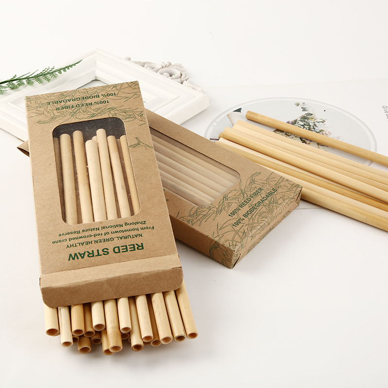 ECO + S raigrás perenne biodegradable paja de trigo de bambú orgánico